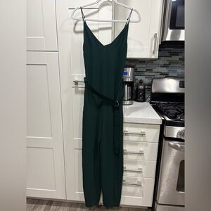 Aritzia Babaton belted Jameson jumpsuit